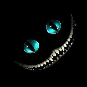 Meet your Posher, Freddy